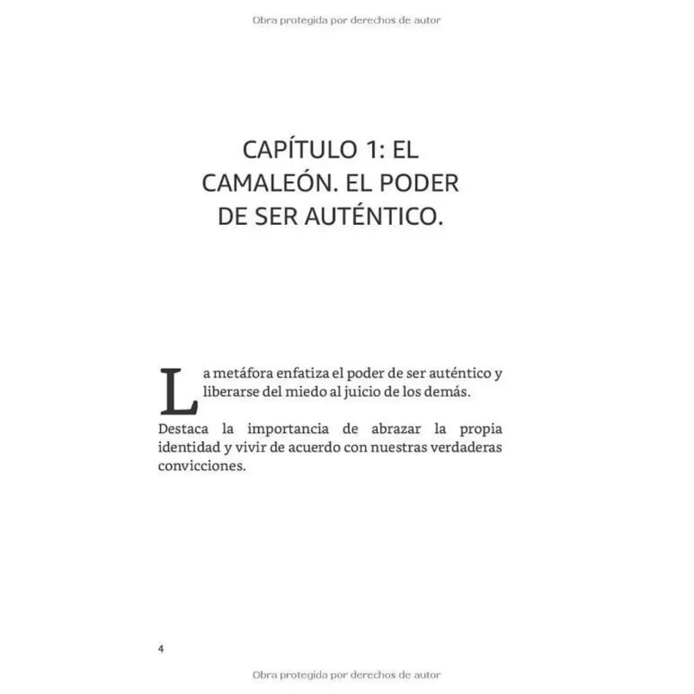 METÁFORAS Empoderantes Método pedagógico Metaphors‎ 4 Spanish by Karma Profiler